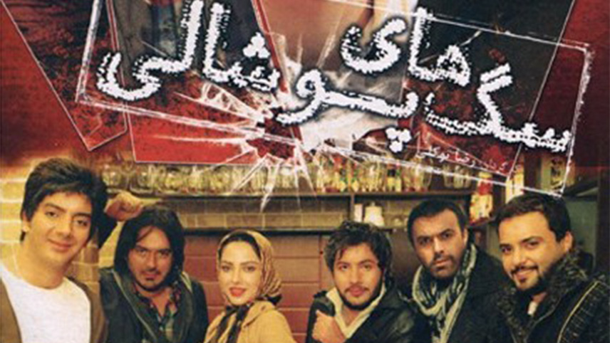 زندگی شغلی مهدی سلوکی