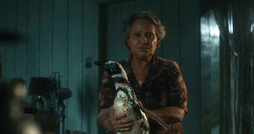 بررسی فیلم سینمایی دوست پنگوئن من معرفی فیلم My Penguin Friend 2024