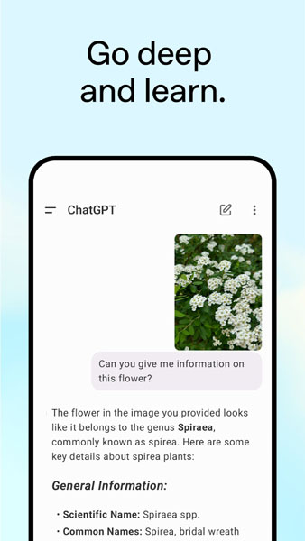 هوش مصنوعی ChatGPT برای آموزش زبان